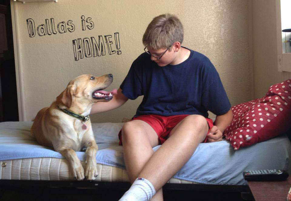 A happy dog in his new home is a success story worth sharing.